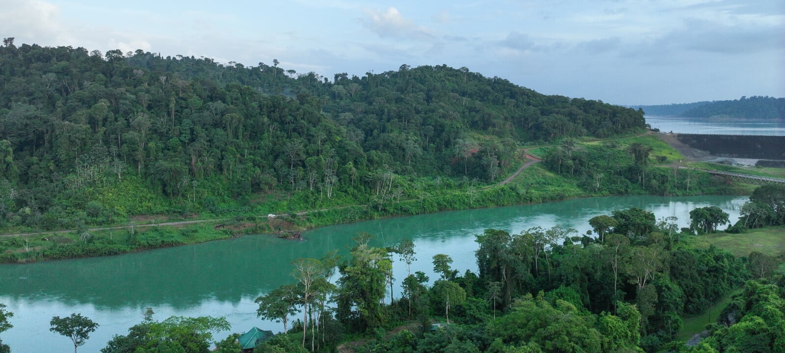 A river running through Suriname's coastal rainforests