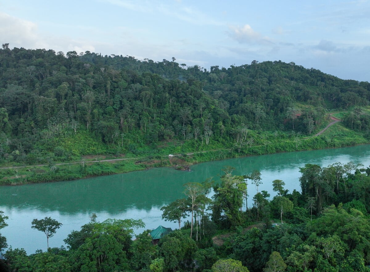 panoramic view of river and tropical forest in Suriname