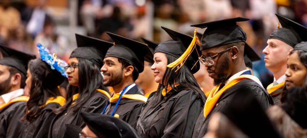Students working in a lab