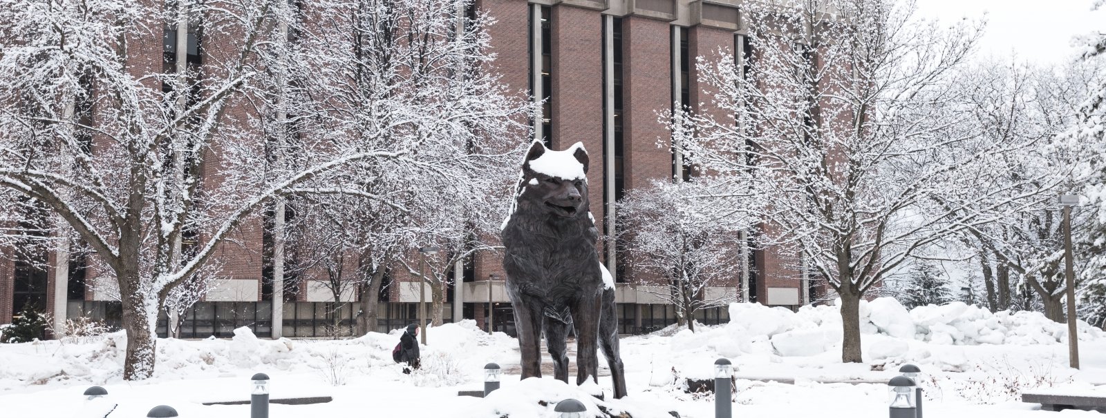 husky statue in snow