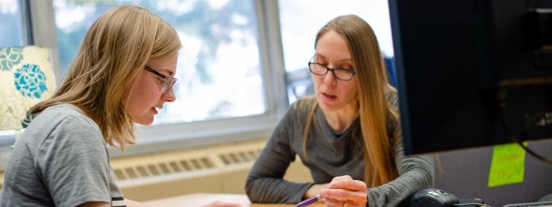Faculty advising a student
