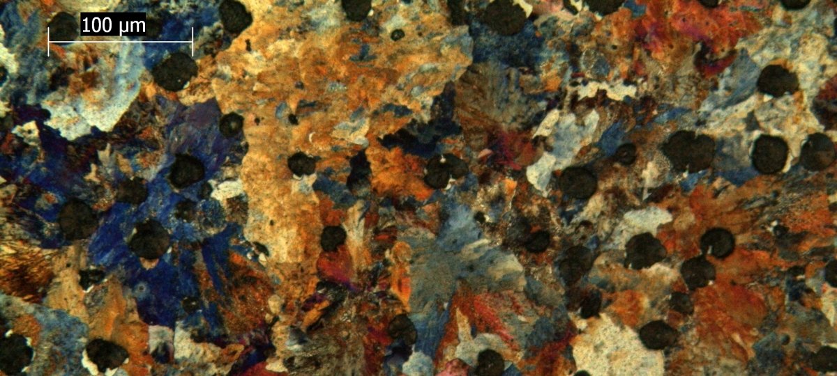 Micrograph of a polished surface of ductile cast iron