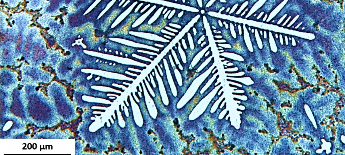 Micrograph of a Dendrite in a Zn-Ag alloy (as-cast)