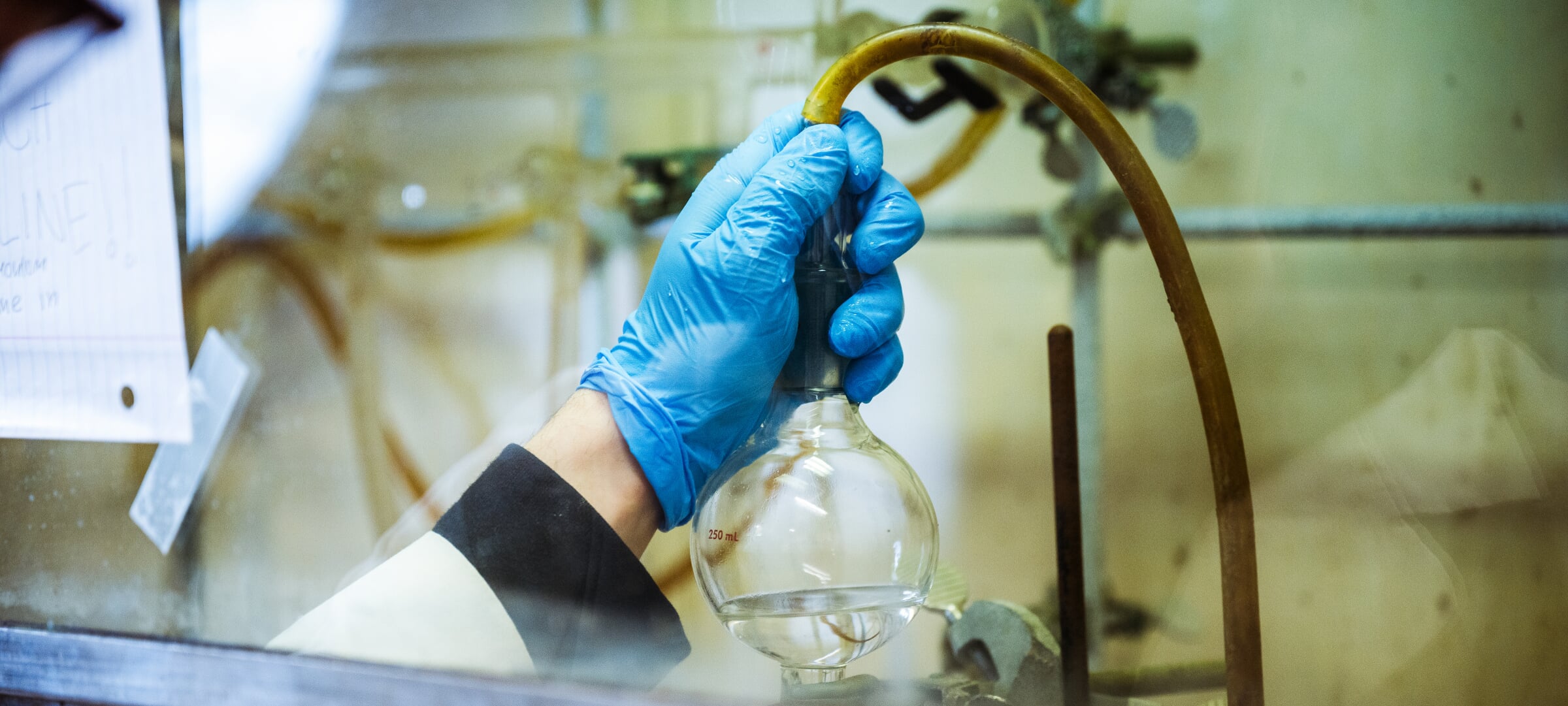 Blue-gloved hand holding a rubber hose connected to a beaker under a fume hood