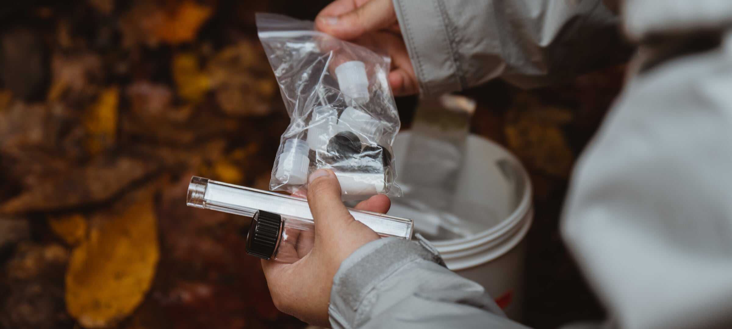 Hands holding sample collection vials above a forest floor.