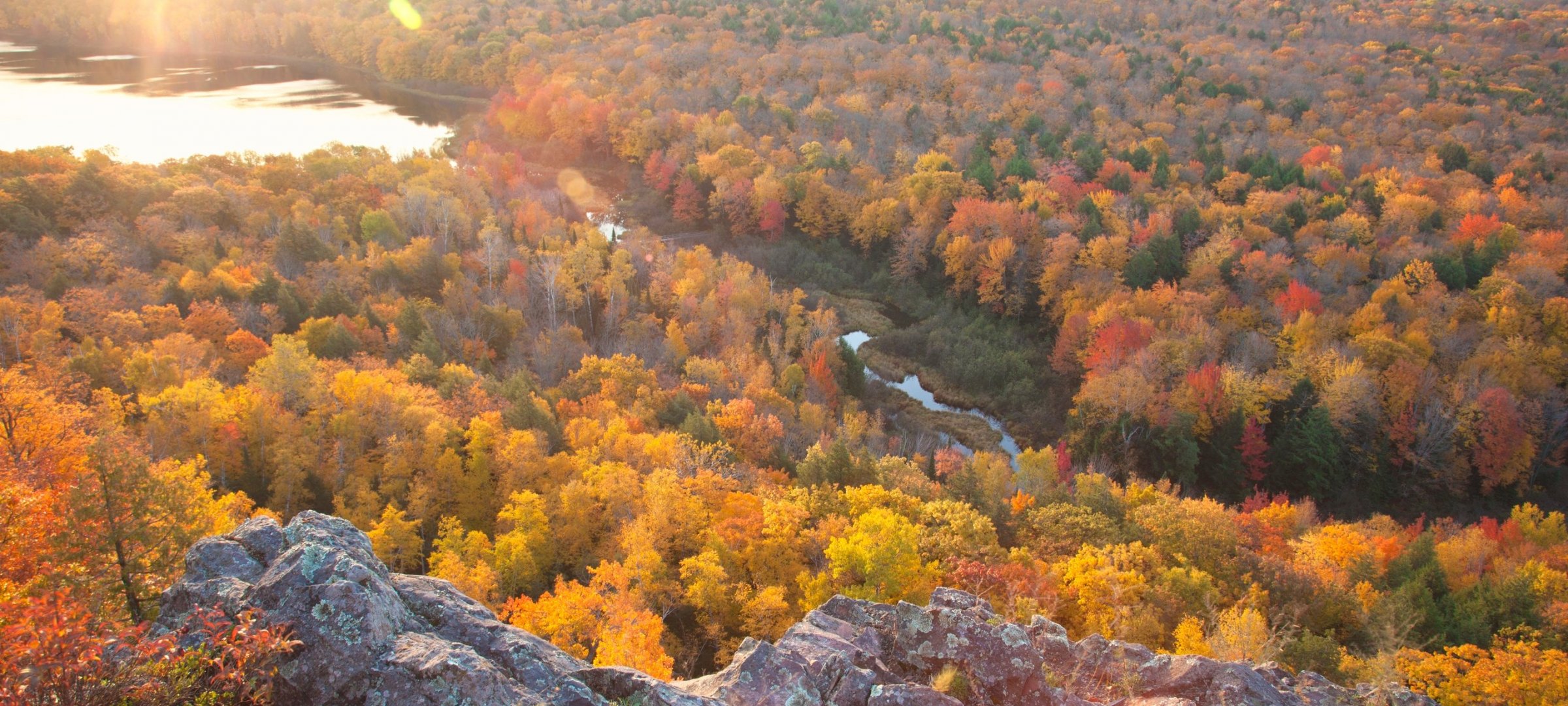 Aerial view of a colorful forest at sunset.