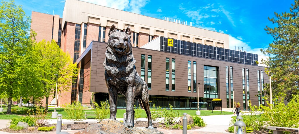 The Husky statue in the fall.