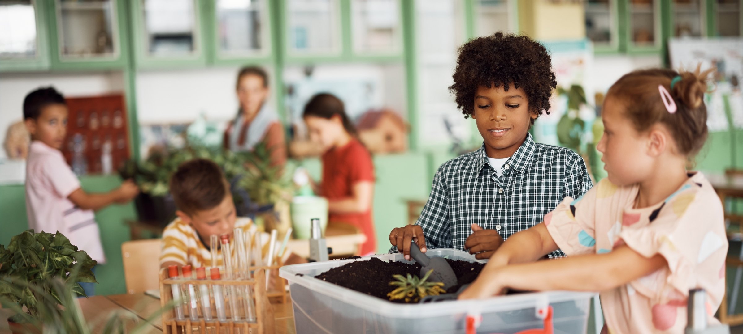 Happy classmates planting during botany class at elementary school.