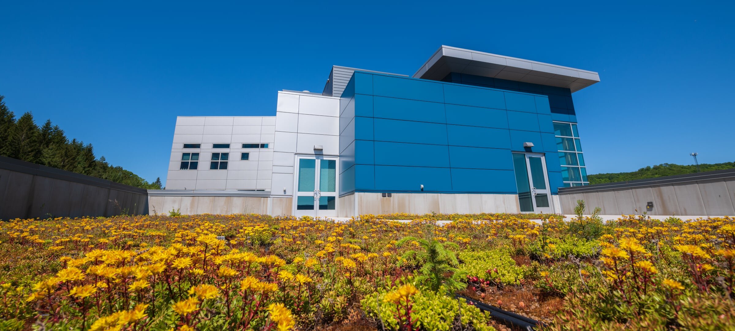 Green roof of Great Lakes Research Center