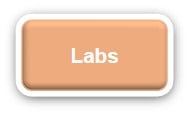 Labs orange button