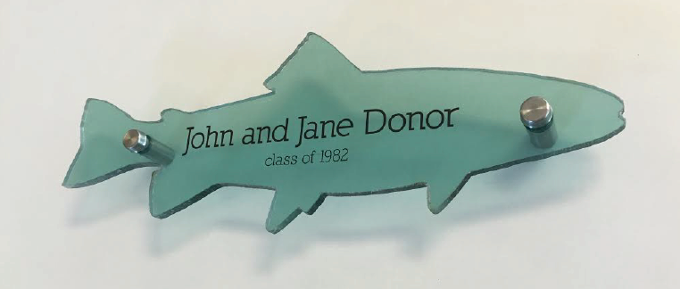 A 10-inch clear fish engraved with a sample name for the Buy a Fish campaign.