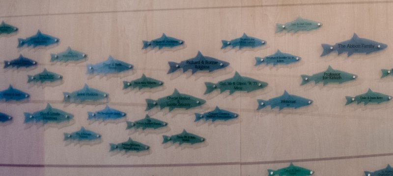 Wall with fish plaques featuring donor's names