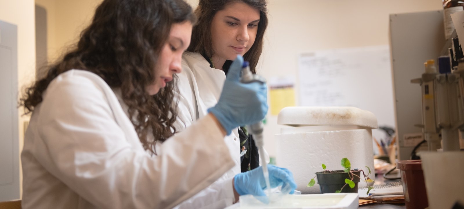 picture of desk with a computer, keyboard, and other stationary supplies