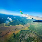 view from a plane of the Amazon Basin in Suriname
