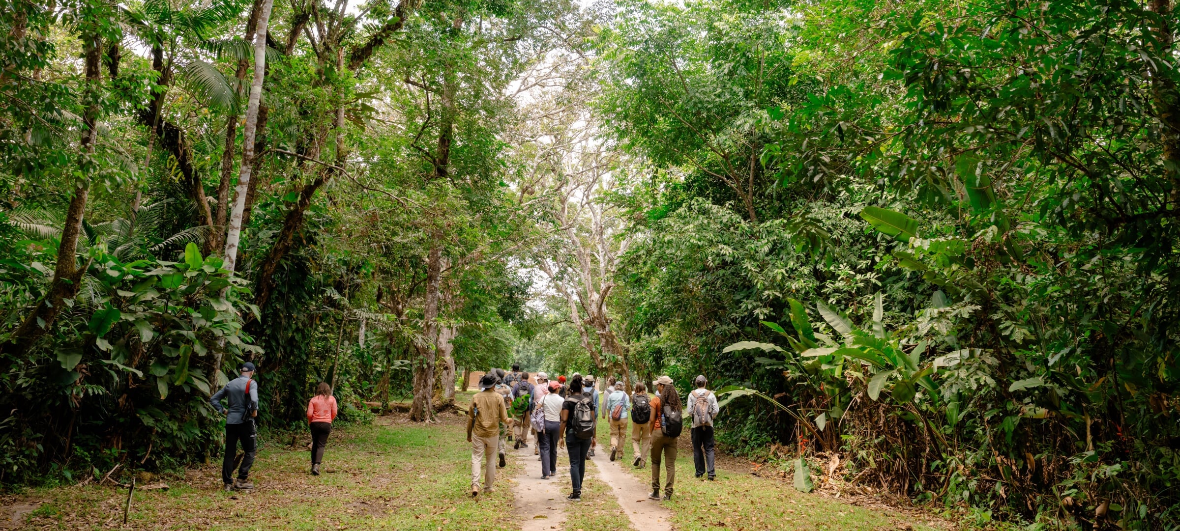 view of students walking down a wooded path in Suriname