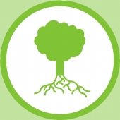 icon of a tree with roots
