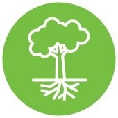 tree with roots icon