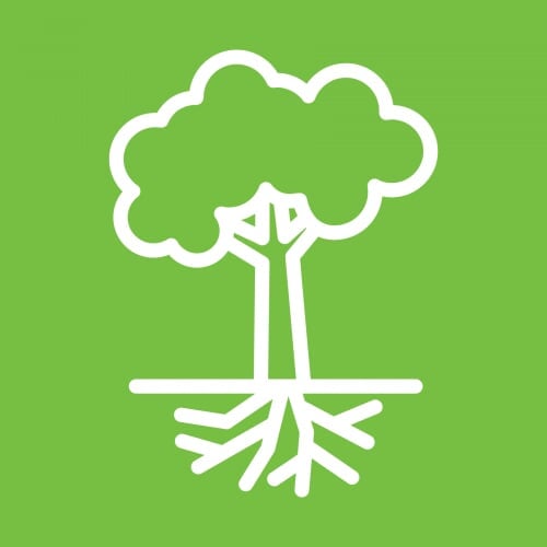 tree icon