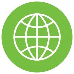 globe icon
