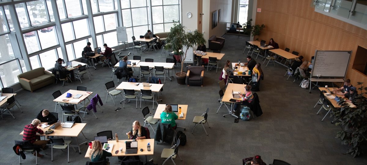 Students studying in the Michigan Tech library