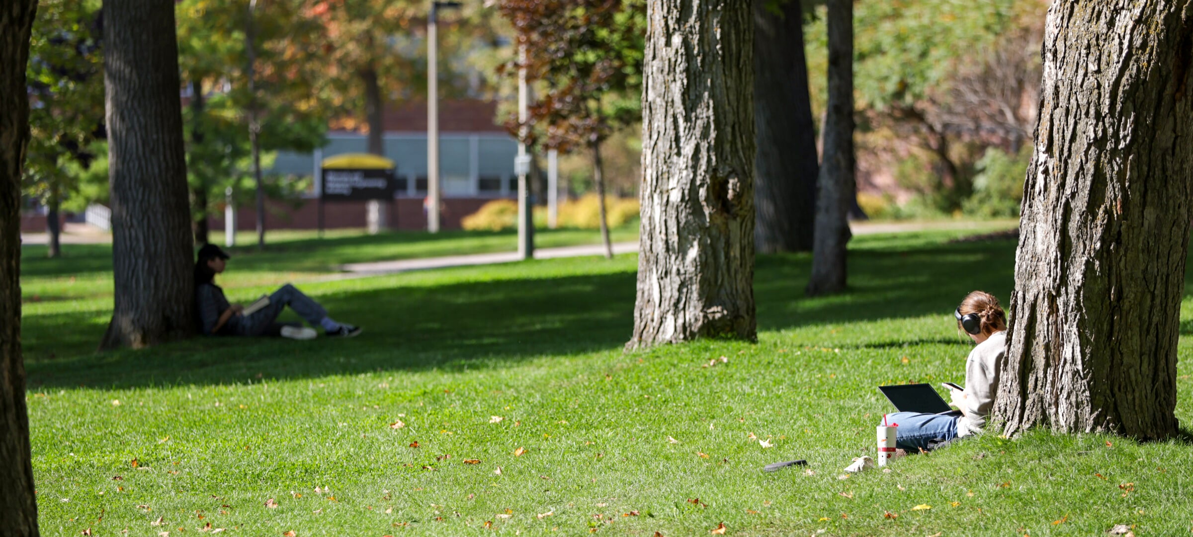Students sitting on the Walker lawn lean against trees while reading and studying.