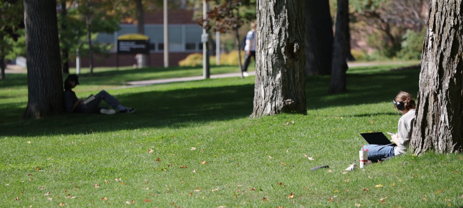 Students reading outside on grass.