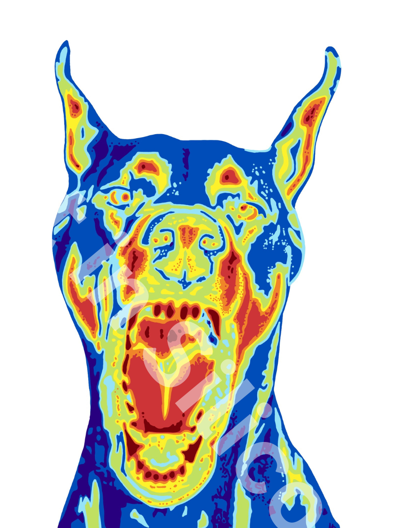 A thermal images with blue, yellow, and red of a doberman dog. 