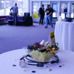 Computing MTU Showcase Rozsa Decor