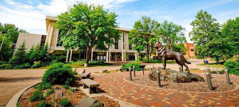 Husky statue in center of campus on a summer day