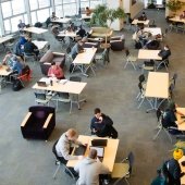 Library Study Area