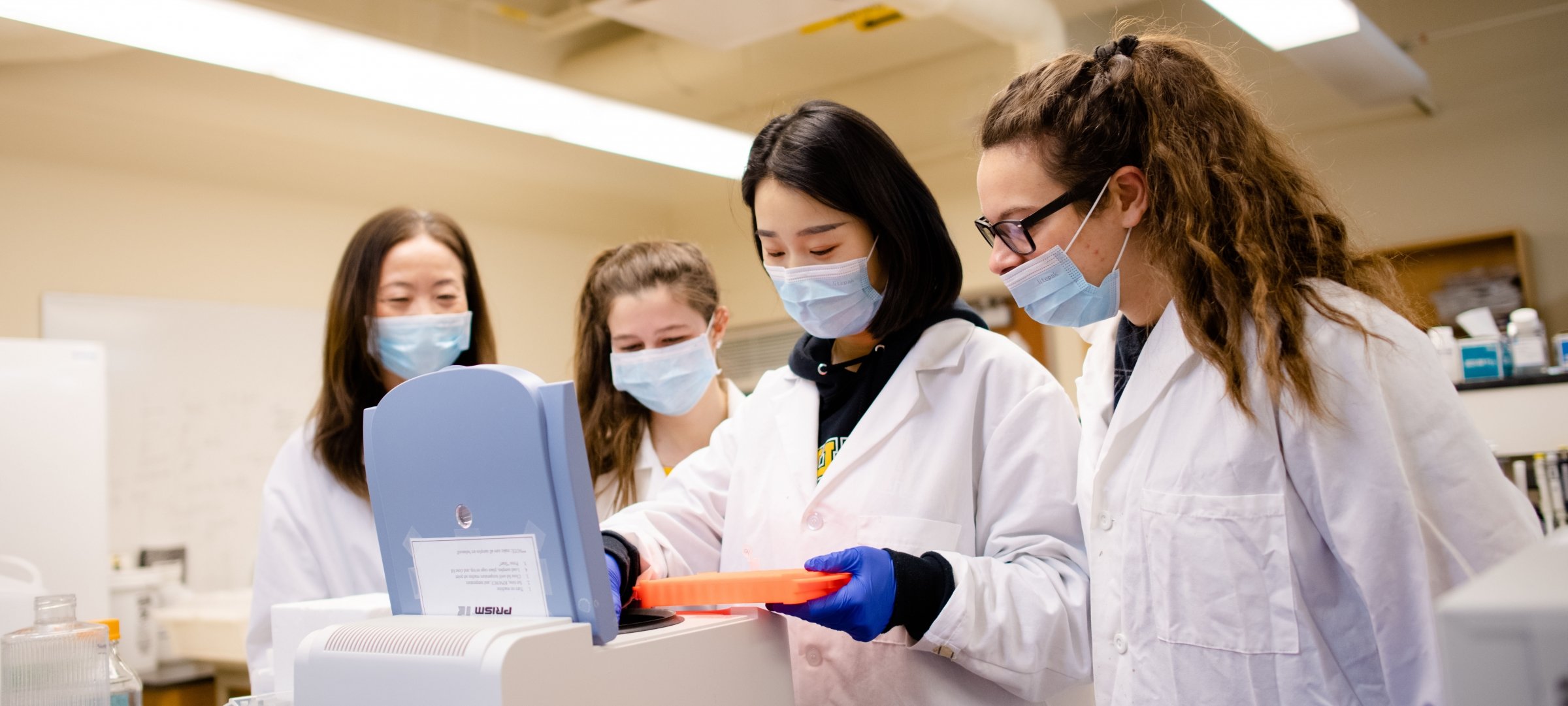 Four women scientists working in the molecular physiology lab