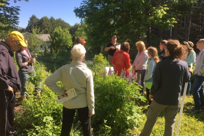 volunteers watching demonstration