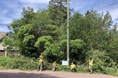 (image credit: Sigrid Resh) KISMA Crew with huge pile of buckthorn removed from Houghton neighborhood