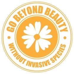 Go Beyond Beauty Logo