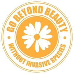 Go beyond beauty logo