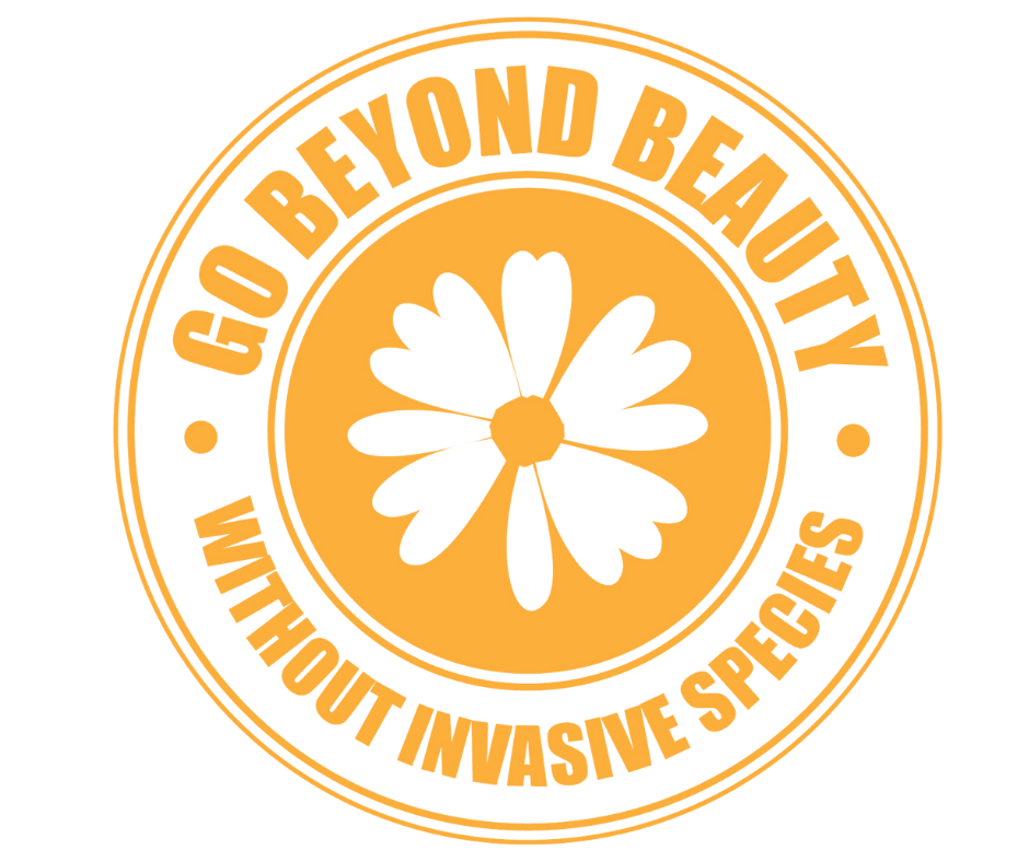 Go beyond beauty logo