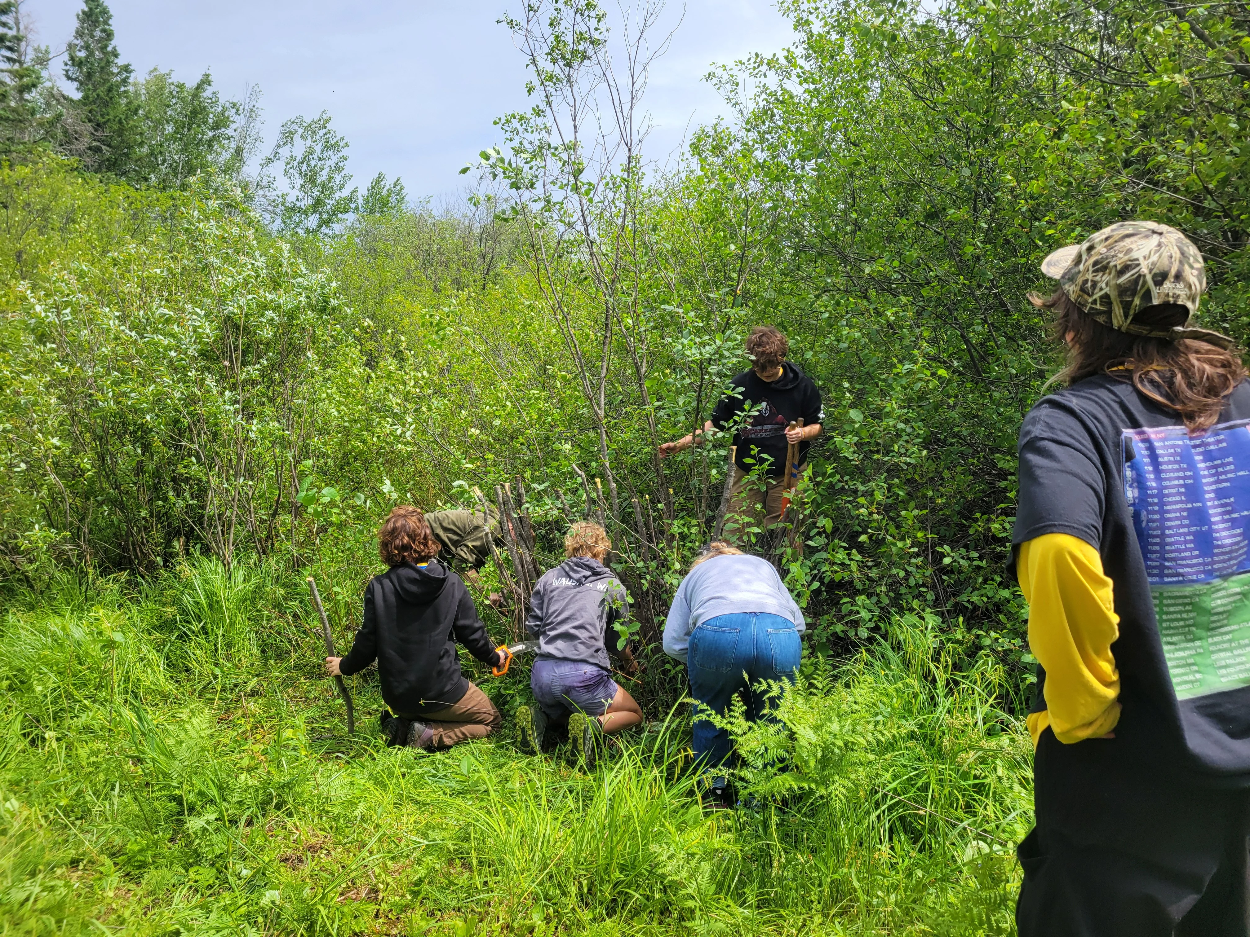 The KISMA field cutting and managing glossy buckthorn.