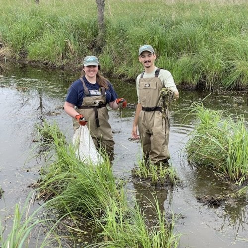 People in waders standing in water