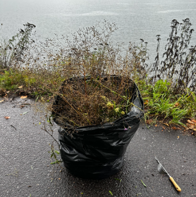 Baby's breath management along the Portage Trail