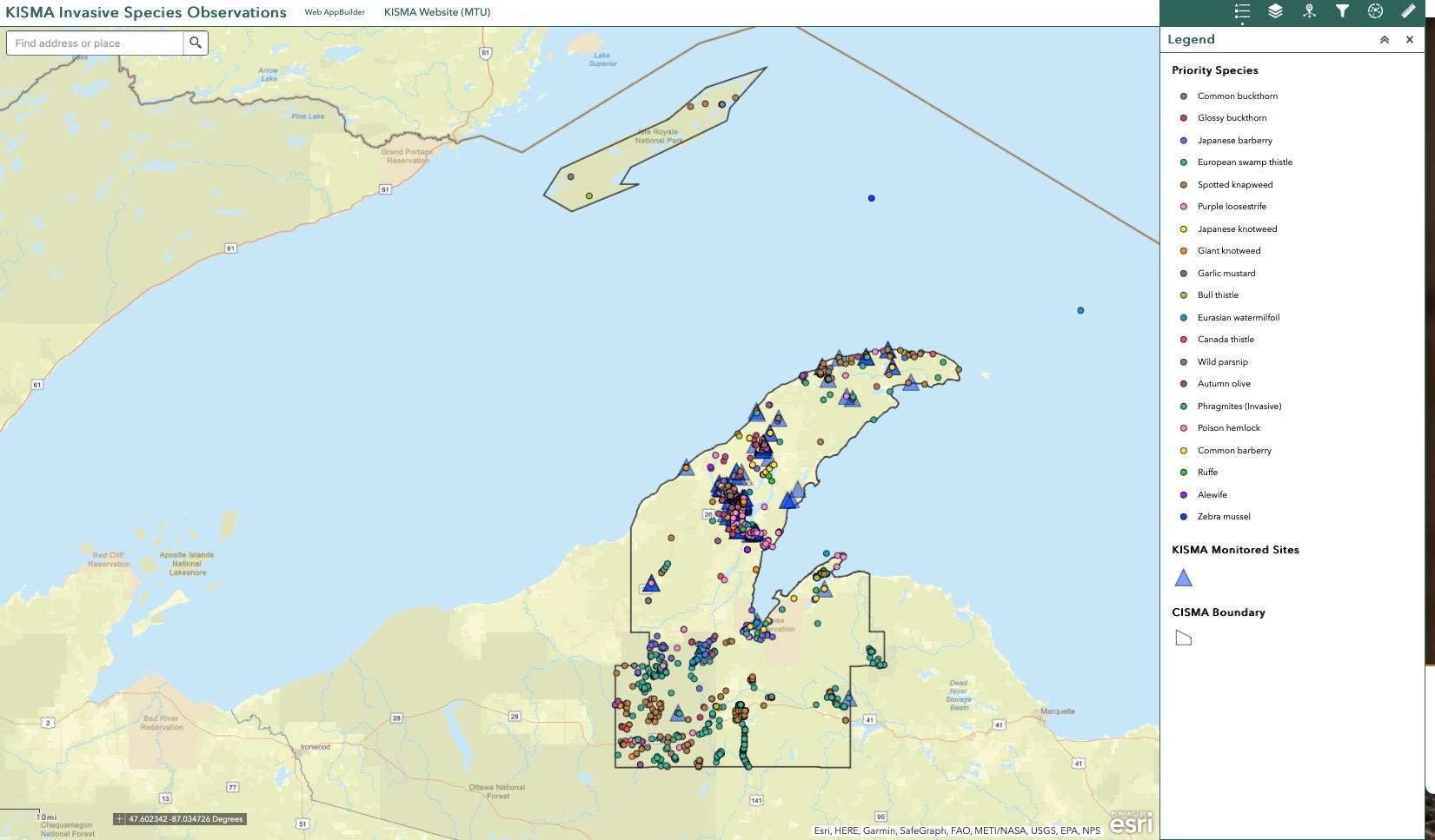 KISMA priority map of invasive species present within Baraga, Houghton, and Keweenaw counties as of the 2021 field season