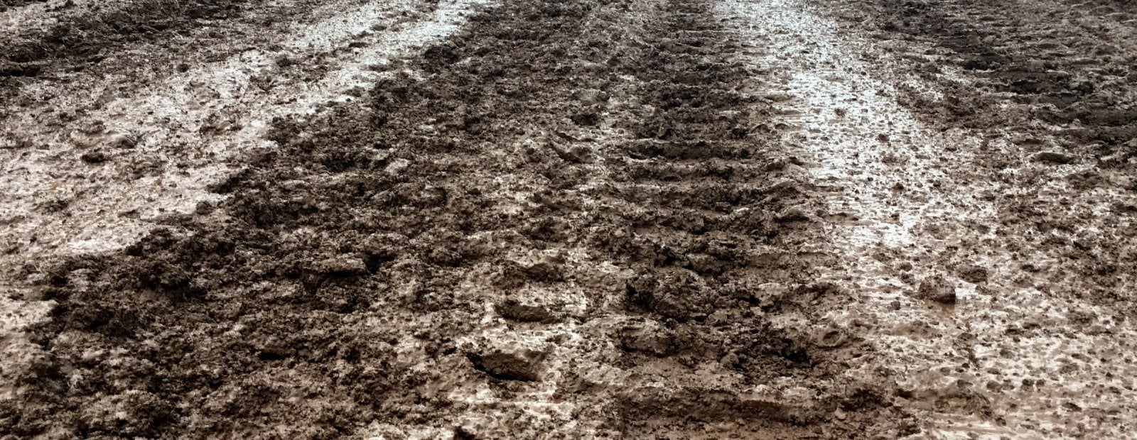 Mud tracks left behind from a vehicle. 