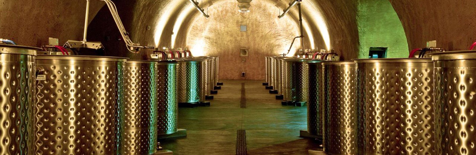 Michigan Tech students chosen for the annual Silicon Valley Experience tour Porter Family Vineyards. Here is the fermentation bay in the 17,000 square-foot underground complex. A 515-foot tunnel leads from one side of the mountain to the other.