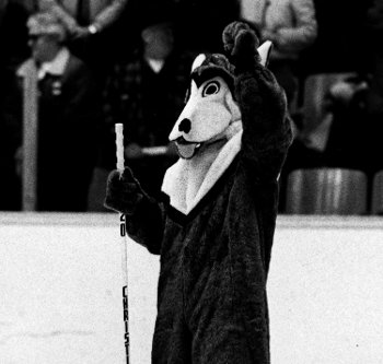 Vintage husky mascot.