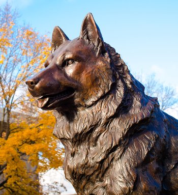 Husky statue.