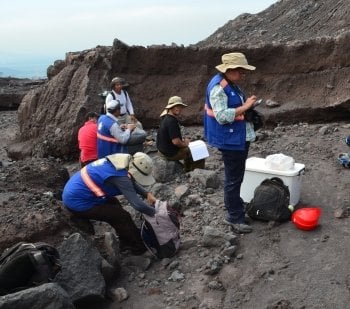 Researchers collecting samples.