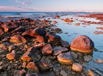 Rocks along the water.