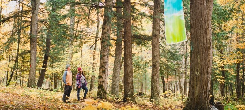 Two people looking at the art in the forest.