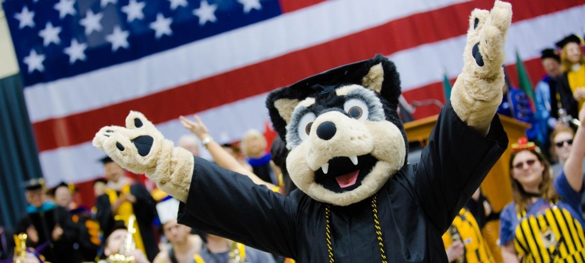 Blizzard T. Husky at commencement.