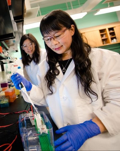 Feng Zhao working in the lab.