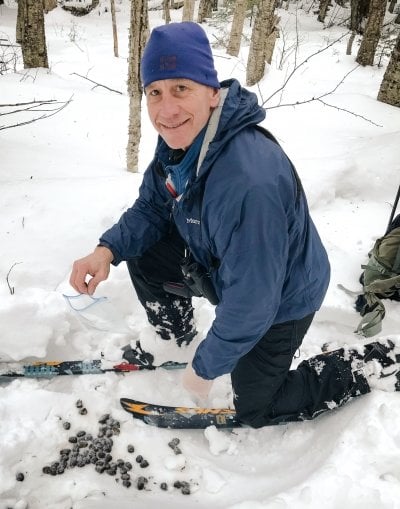 Person kneeling in snow looking at moose pellets.